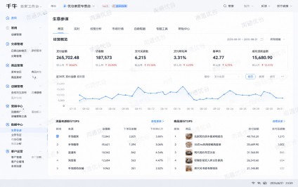 阿里系代运营案例展示4